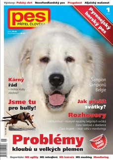 Pes přítel člověka 1/2012