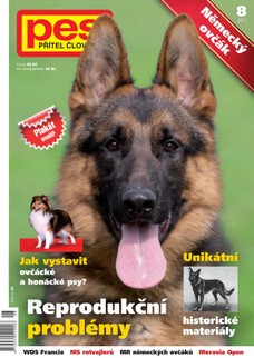 Pes přítel člověka 8/2011