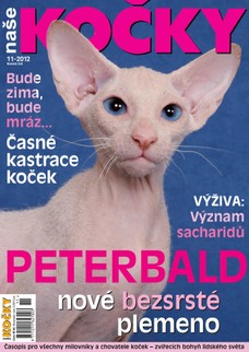 Naše kočky, 11-2012