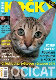 Naše kočky, 01-2015