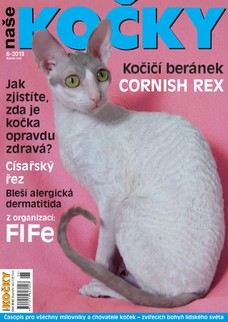 Naše kočky, 06-2013