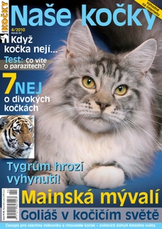 Naše kočky, 04-2010
