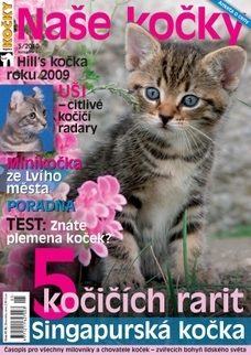 Naše kočky, 05-2010