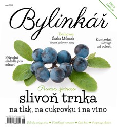 Bylinkář 9/2019