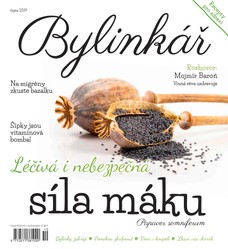 Bylinkář 10/2019