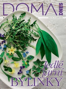 DOMA DNES - 19.4.2023