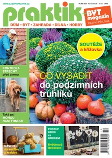 PRAKTIK & příloha Byt magazín 10/2023