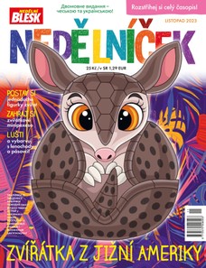 NEDĚLNÍČEK - 11/2023