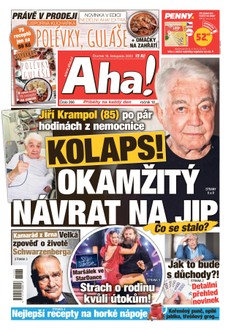 AHA! - 16.11.2023