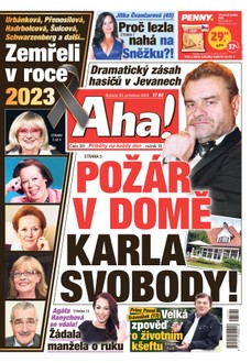 AHA! - 30.12.2023