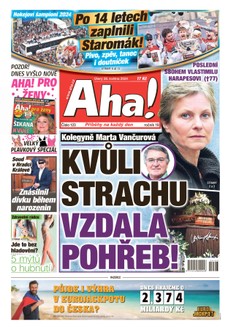 AHA! - 28.05.2024