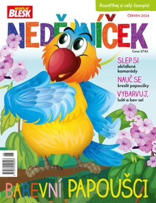 NEDĚLNÍČEK - 6/2024