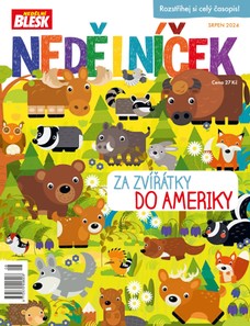 NEDĚLNÍČEK - 8/2024