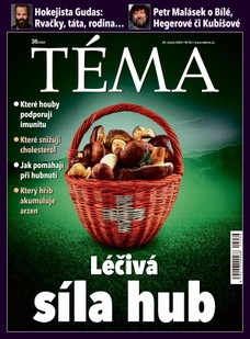 TÉMA DNES - 30.08.2024