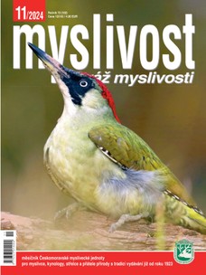 Myslivost 11/2024