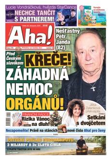 AHA! - 29.11.2024