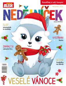 NEDĚLNÍČEK - 12/2024