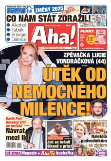 AHA! - 08.01.2025