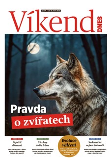 Víkend DNES Severní Čechy - 25.01.2025