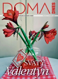 DOMA DNES - 12.02.2025