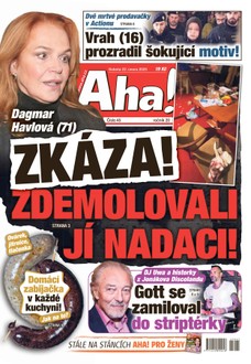 AHA! - 22.02.2025