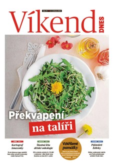 Víkend DNES Jižní Čechy - 08.03.2025