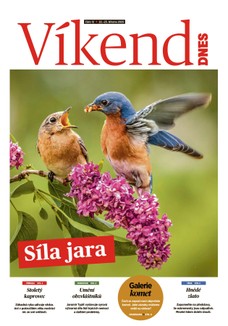 Víkend DNES Vysočina - 22.03.2025