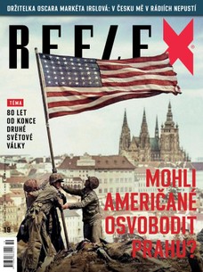 REFLEX - 19/2025