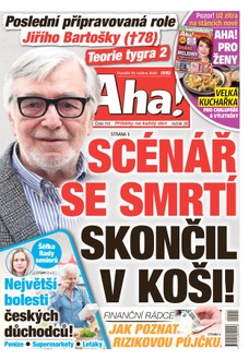 AHA! - 19.05.2025
