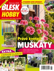 BLESK HOBBY - 6/2025