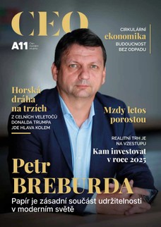 CEO 2/2025