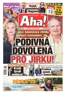 AHA! - 13.06.2025