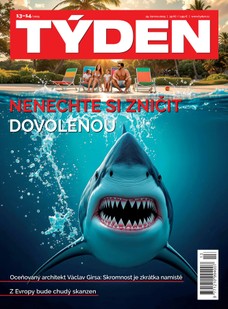 TYDEN