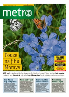 METRO - 24.06.2025