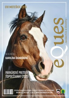 Eques jún