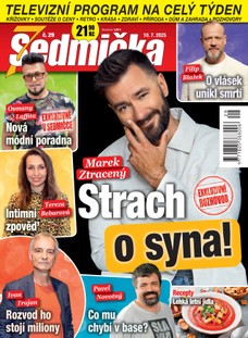 Sedmička 29/2025