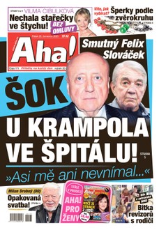 AHA! - 25.07.2025