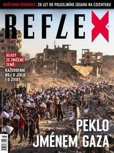REFLEX - 33/2025
