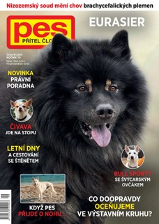 Pes přítel člověka 9/2025