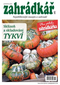 Zahrádkář 11/2025