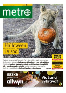 METRO - 31.10.2025