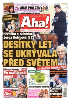 AHA! - 26.11.2025