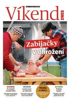 Víkend DNES Vysočina - 31.01.2026