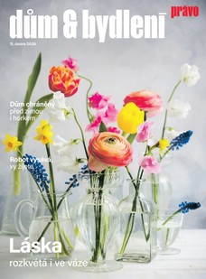 Dům & bydlení - 11.2.2026
