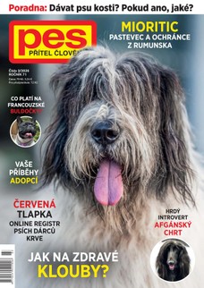 Pes přítel člověka 3/2026