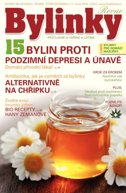 Bylinky 3/12 podzim