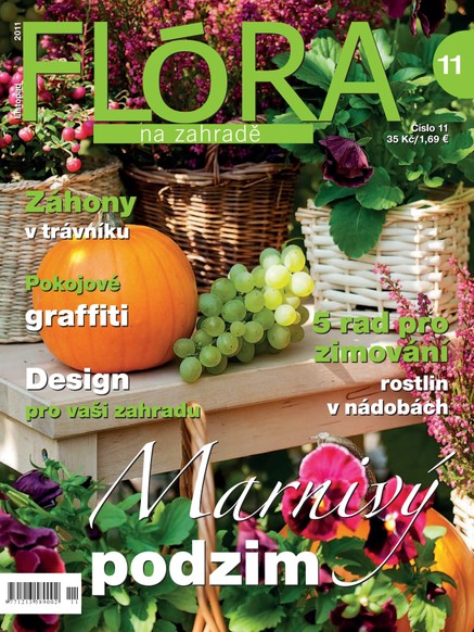 Flóra na zahradě 11/2011