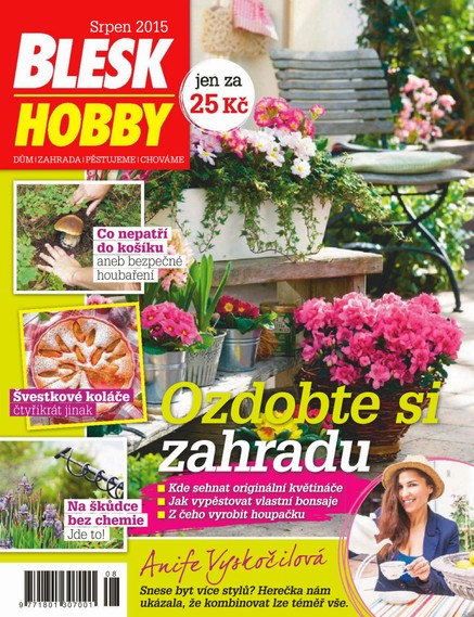 Blesk Hobby - 8/2015