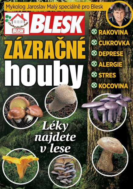 Blesk Zázračné houby - 7.8.2015