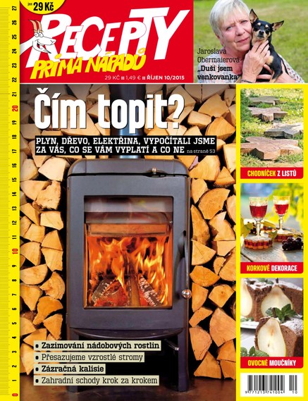 Recepty prima nápadů 10/2015